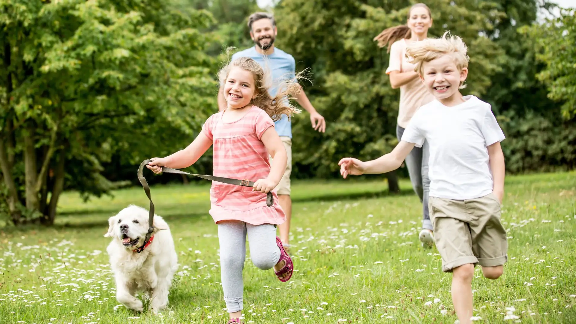 Mosquitoes vs. Ticks: Understanding the Dual Threat in New England